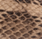 Mocha Serpente
