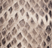 Roccia Serpente