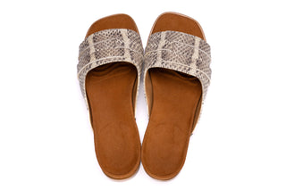 ELISA 20mm Roccia Serpente