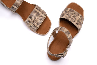 TERESA 20mm Mocha Serpente