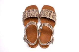 TERESA 20mm Mocha Serpente